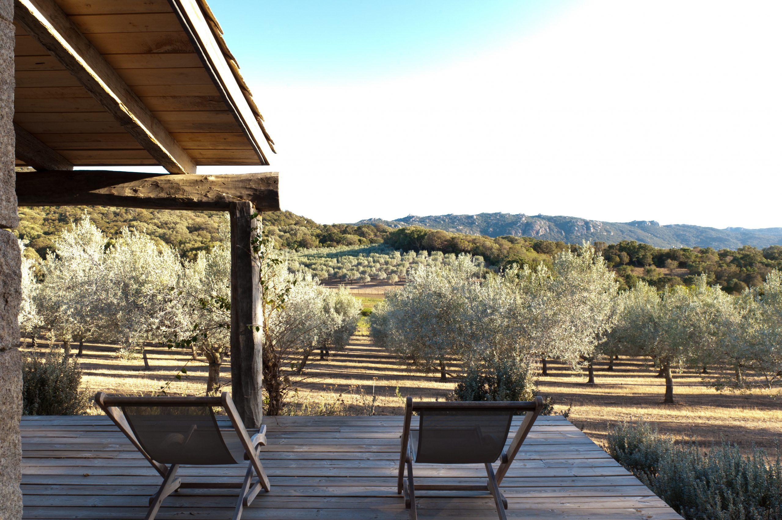 Bergerie - Archipetrus