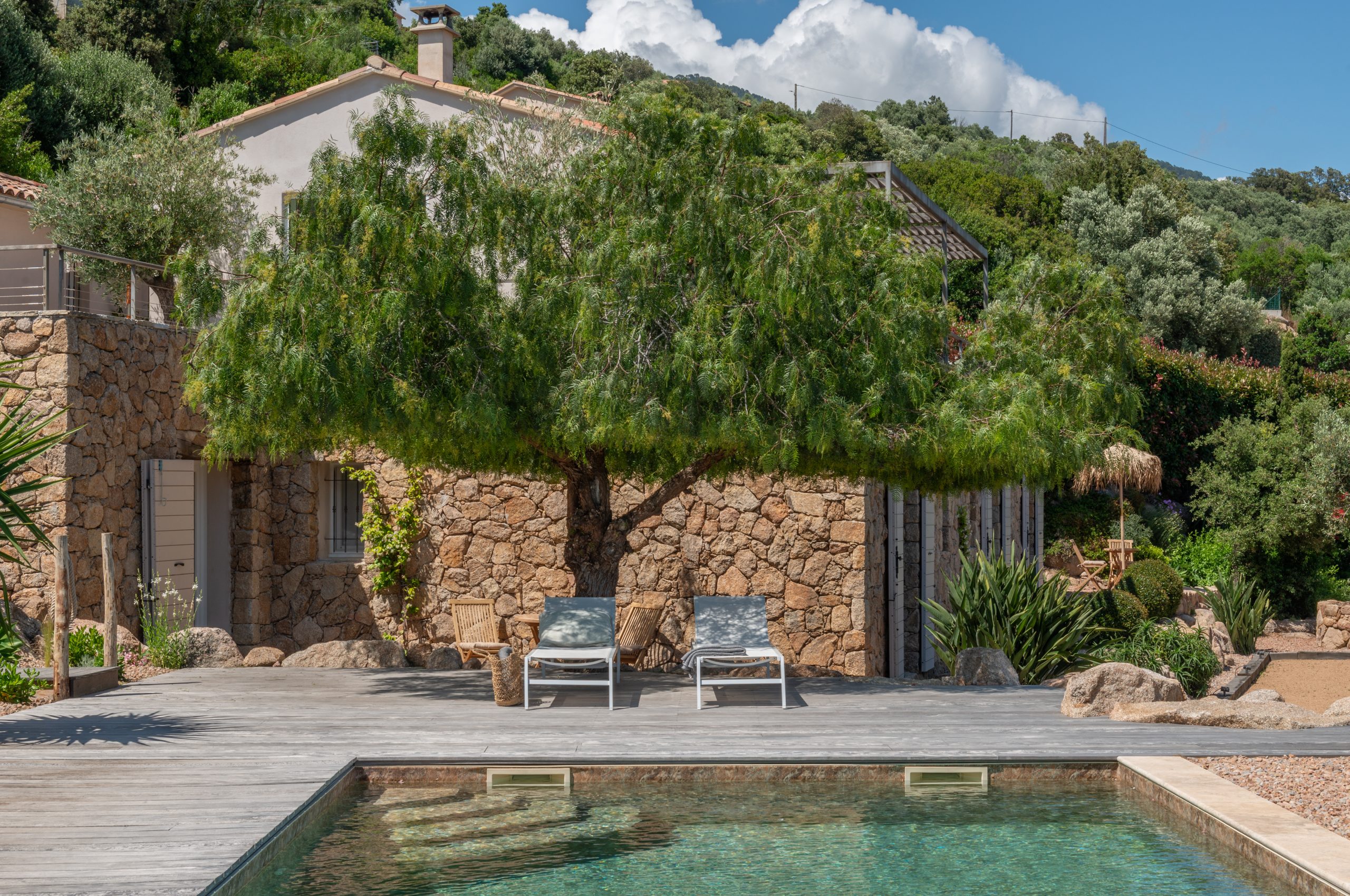 vistacorsica@murielarie